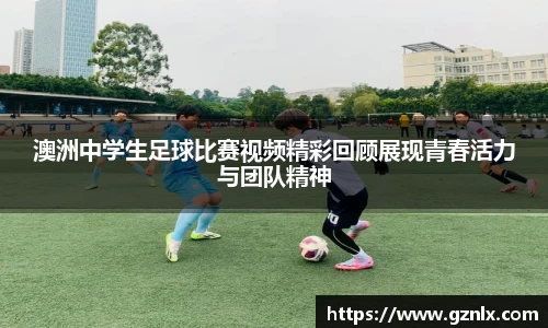 BB贝博登录入口