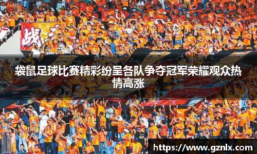 袋鼠足球比赛精彩纷呈各队争夺冠军荣耀观众热情高涨