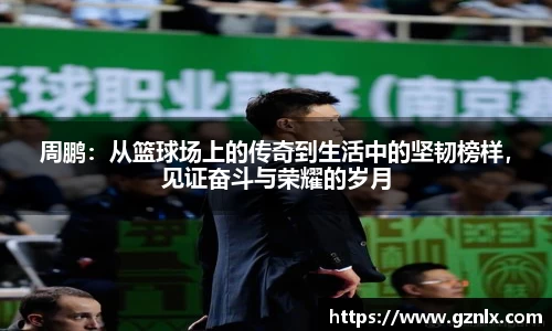 BB贝博ballbet