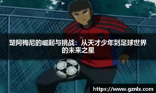 BB贝博ballbet