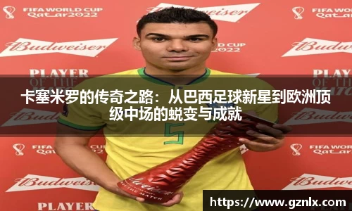 BB贝博登录入口