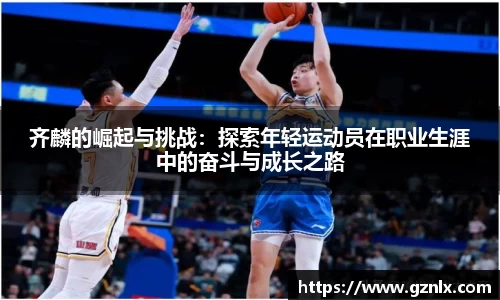 BB贝博登录入口