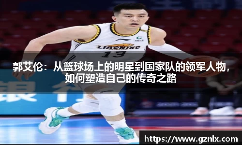 BB贝博登录入口
