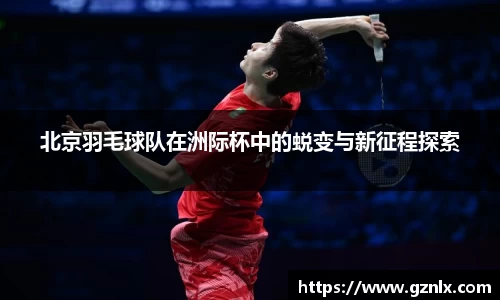 北京羽毛球队在洲际杯中的蜕变与新征程探索